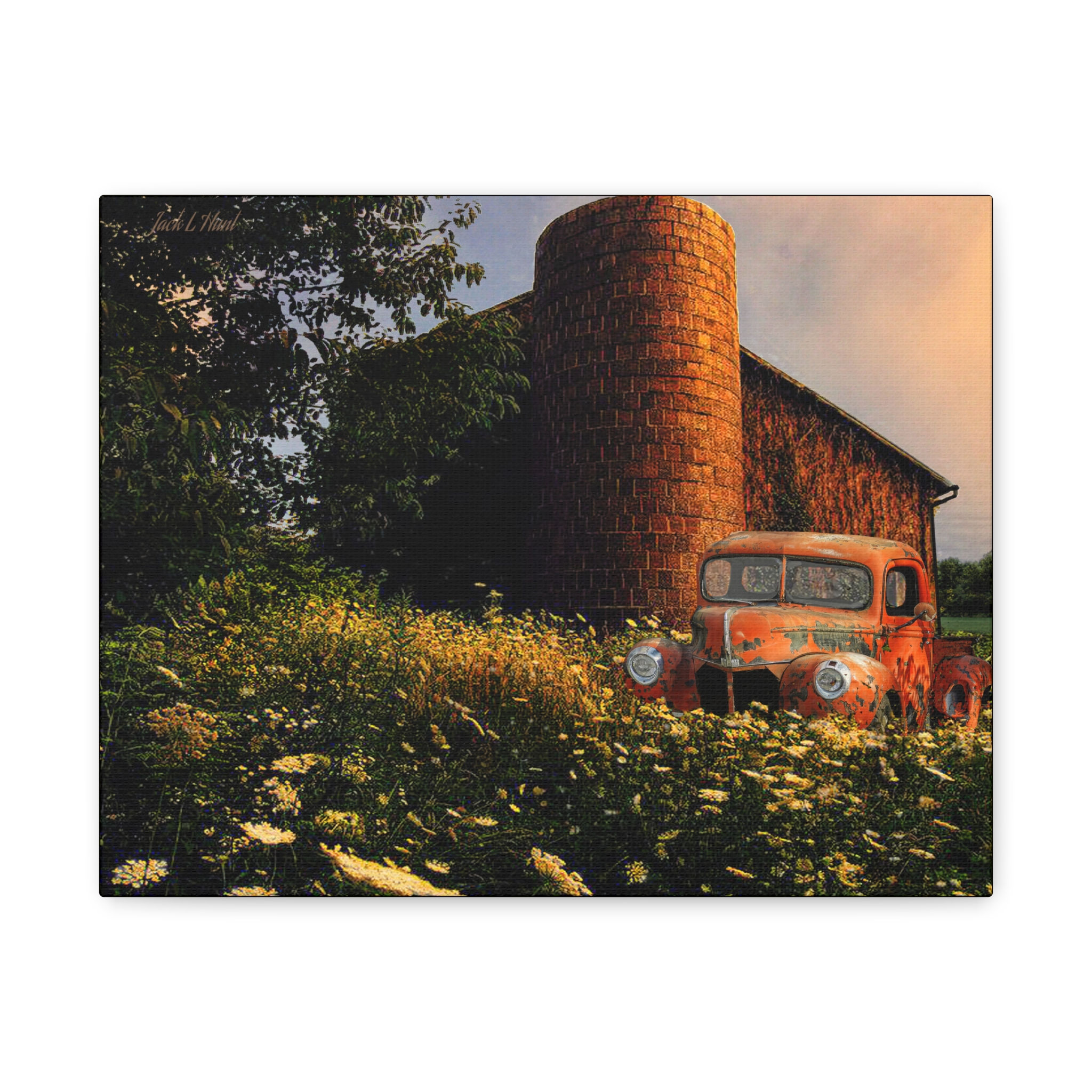Canvas Art Print  Vintage 1940 Ford Pickup with Barn and Queen Anne's Lace 