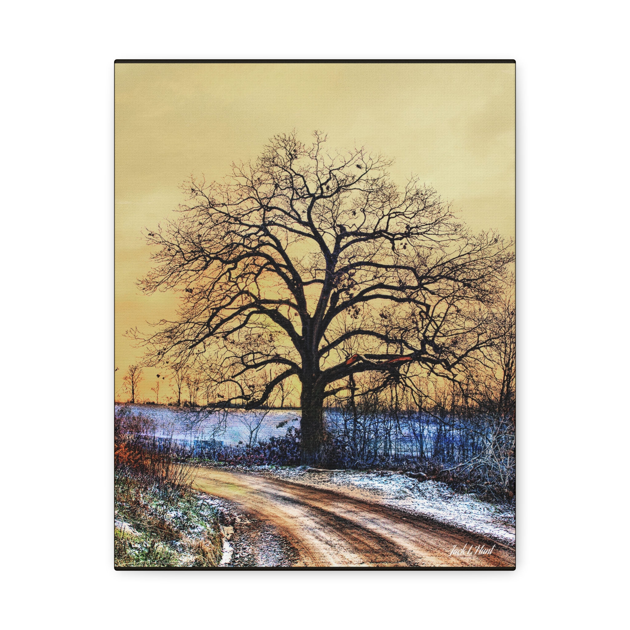 Winter Oak – Mixed Media Canvas Print by Jack Hunt 