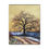 Thumbnail: Winter Oak – Mixed Media Canvas Print by Jack Hunt 