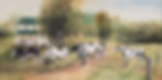490791148_1222101309921990_4340756697868082349_n