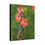 Thumbnail: Hummingbird and Orange Flower Art, Lynn Fraelich, Wall Decor, Nature Artwork