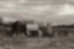 52024174_798357937180302_4161226412449071104_n