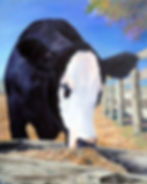 Black++Boldie++20x24+copy.jpg