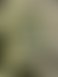 Dajjal, Israel and The Masterplan