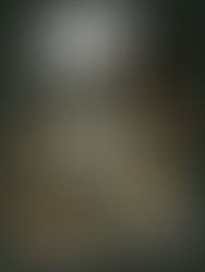 Zainab Bint Ali (سلام الله عليها)