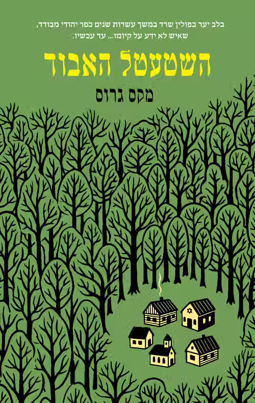 כריכת הספר השטעטל האבוד מאת מקס גרוס