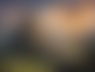 Top Games Inc. Defies Industry Gravity under David and Benjamin