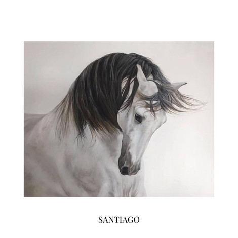 Original Equine Collection | Rachel Stubbs Art | Pet & Wildlife Artist