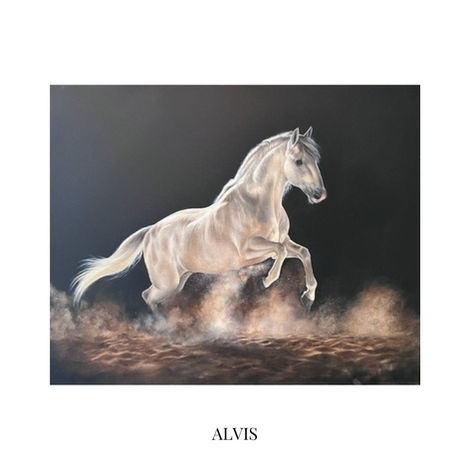 rachel clara stubbs
pet and wildlife artist
original
original oil painting
original horse painting
horse portrait
horse
horse art