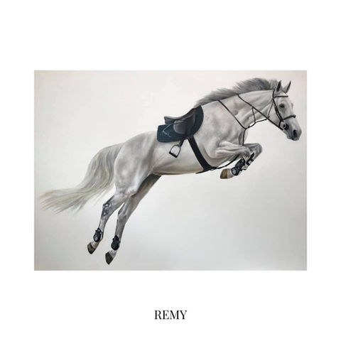 rachel clara stubbs
pet and wildlife artist
pet portrait artist
pet portrait
horse portrait
horse portrait artist
oil painting
horse oil painting
horse painting
realistic pet portrait
realistic horse portrait
realistic horse painting
horse