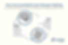 Brain-Gut influeces - 2025 October_horizontal_2.png