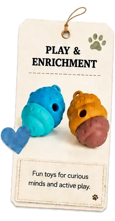 Play and enrichment: fun toys for curious minds and active play