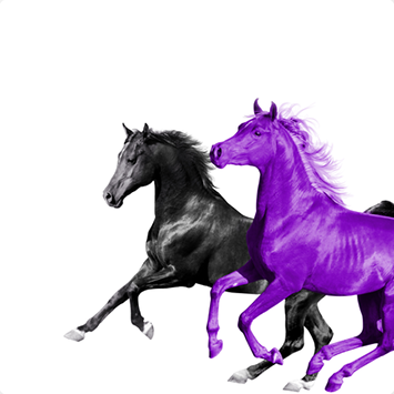 1cc8d57a01e049e89e307c7226ffc8a4.png