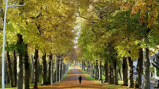 rethel-promenade-isles-automne-1920x1080-f50_50.webp