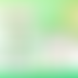 LA PIERRE DU MOIS D'AOÛT 