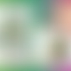 LA PIERRE DU MOIS DE JUILLET