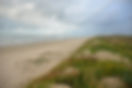 Padre_Island_National_Seashore,_beach,_Kleberg_Co,_TX;_1_Nov_2022.jpeg