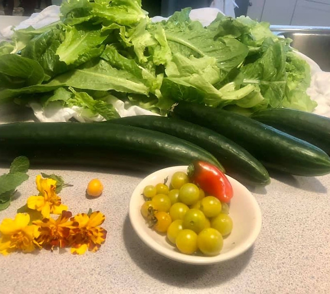 Four types of produce laid out on the countertop. First is beautiful light green lettuce, followed by four large cucumbers, a bunch of small edible orange and yellow flowers, and a small dish filled with tiny yellow and green tomatoes and a small red pepper.Â