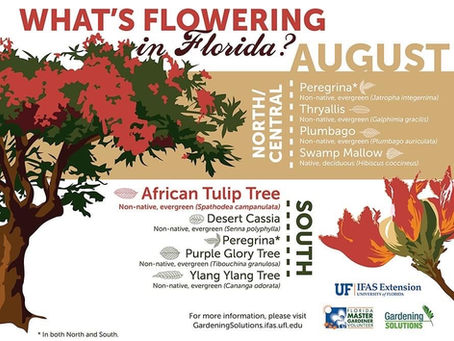 August is Almost Over!