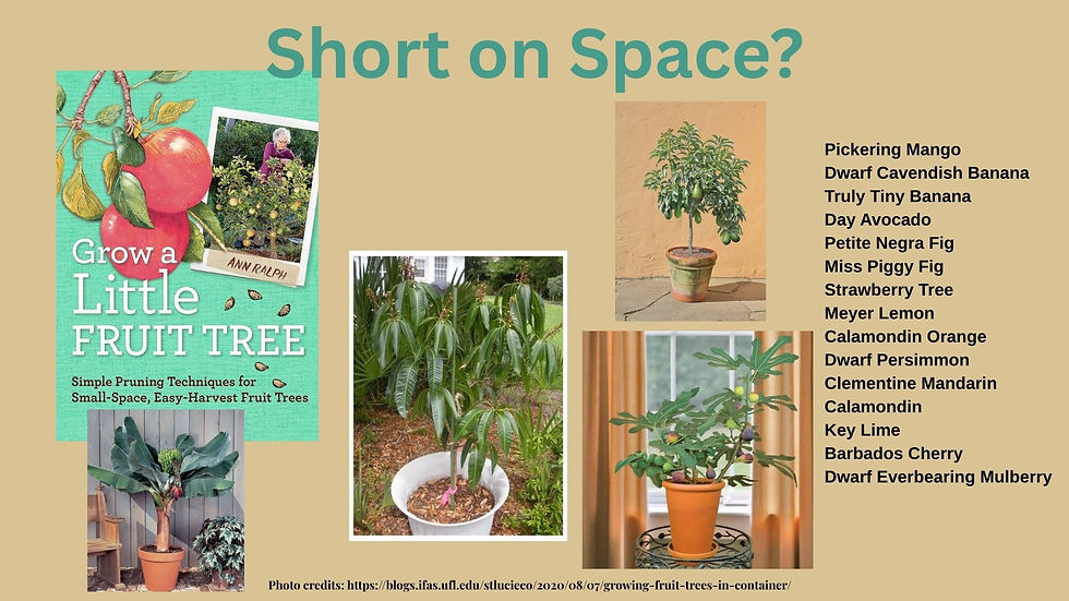 Read my blog post on growing a child-friendly fruit tree orchard!