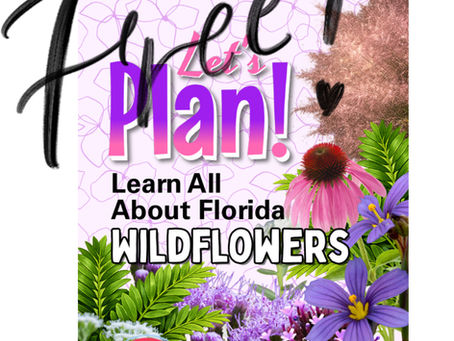 Free Florida Family Wildflower Book!