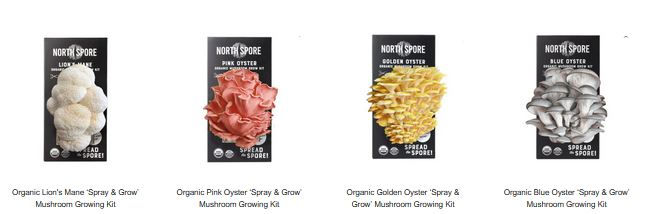 Find these kits on MyScholarShop! Search "Tower Garden Mushroom Kit". Or, purchase them on my website! 