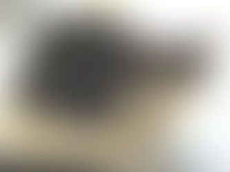 Dee Dee on her new pad.