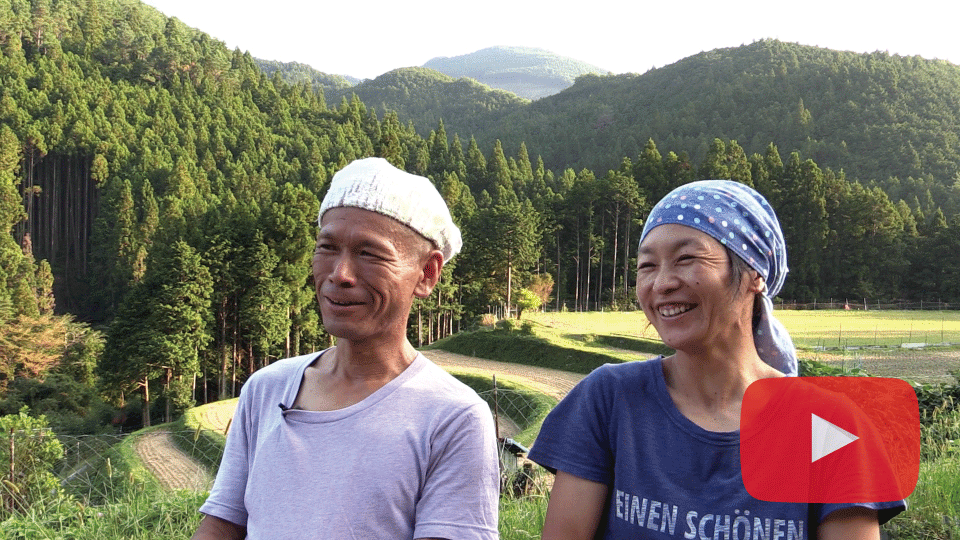 ◎高田健二