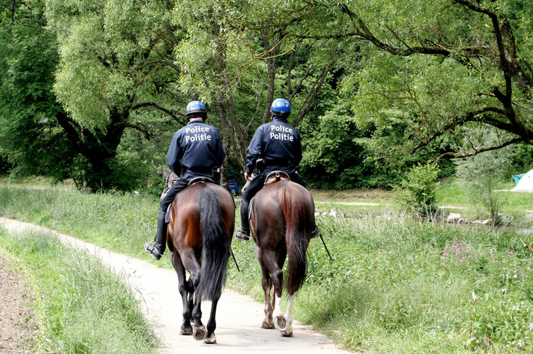 Polizeibeamte im Einsatz – Diensthaftpflicht im Vollzugsdienst