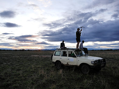 a group tracking radio collared lions by 4x4 in Kenya