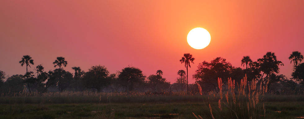 Botswana sunset in the Okavango
