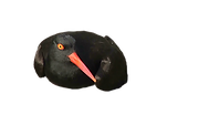 UPSCALED IMAGES BACKGROUND REMOVED-1_edi