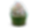 Vanilla funfetti 230213