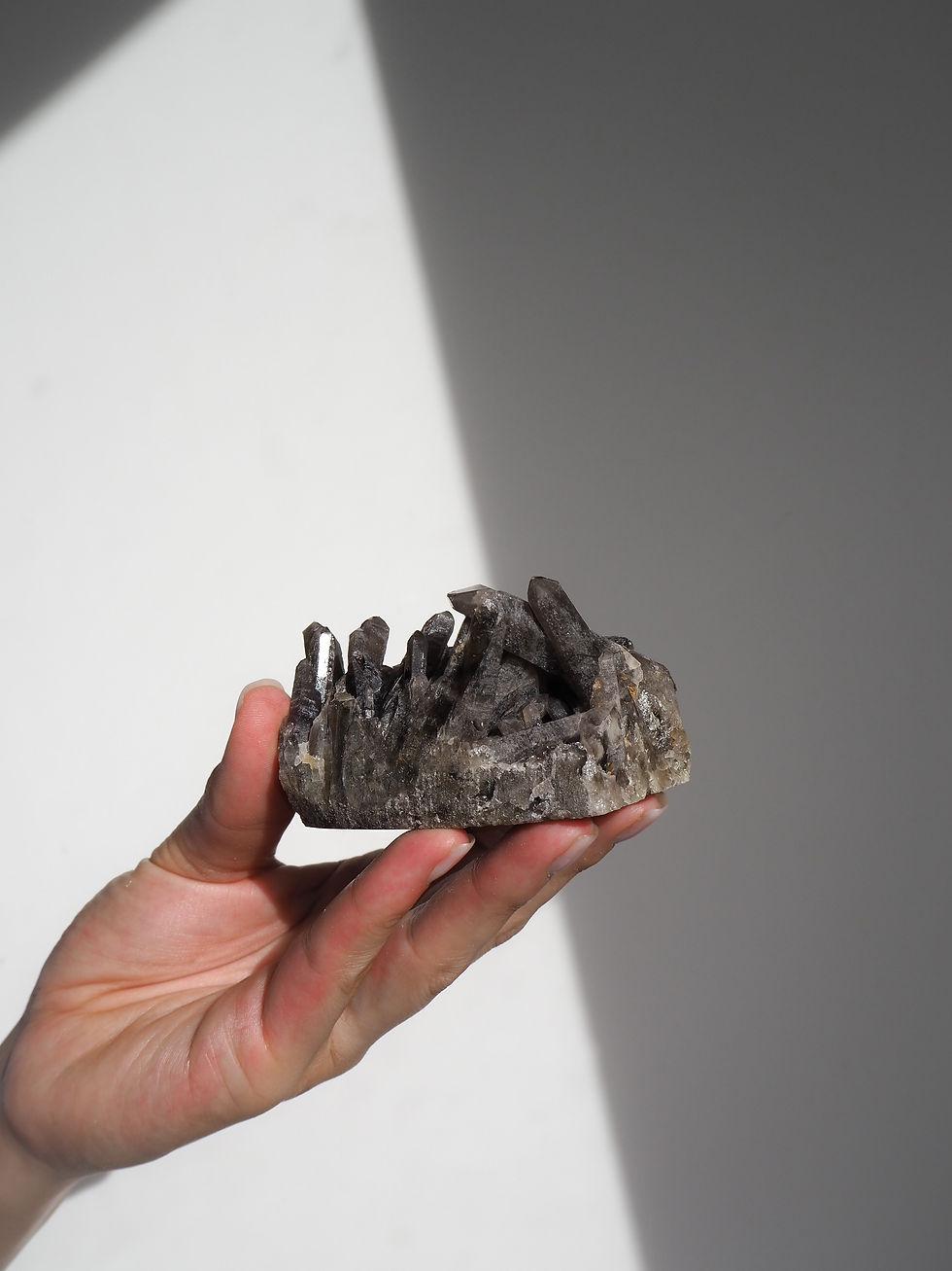 Black Smoky Quartz Cluster