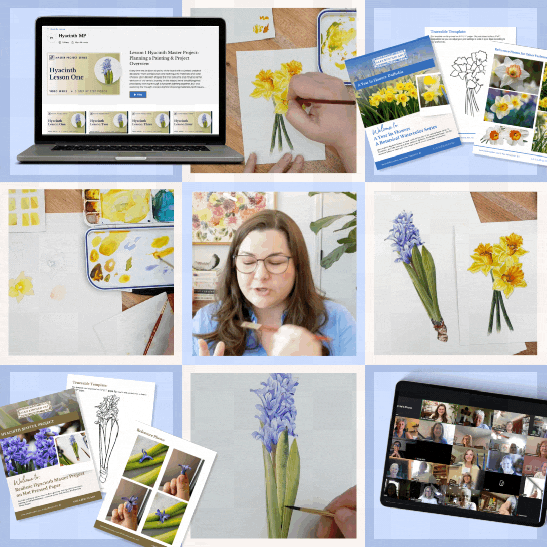 alex kincaid garden studio what you get in a week.gif
