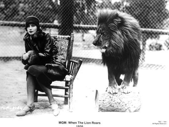 Indiana-made furniture still provides rustic comfort