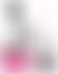 Hookah Accessories Distributor Georgia