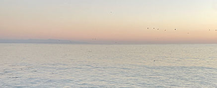 background-image-jessica-sorci_edited.jpg