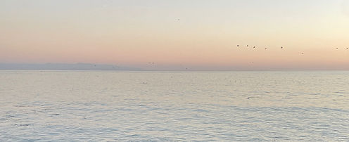 background-image-jessica-sorci_edited.jpg