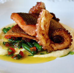 Pan-Seared Char with Octopus, Parsnip Purée, and Cremulata – A culinary highlight
