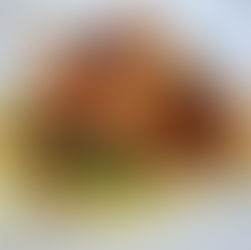 Pan-Seared Char with Octopus, Parsnip Purée, and Cremulata – A culinary highlight