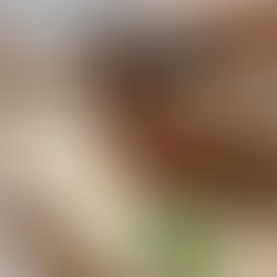 Bruschetta with Sun-Dried Tomatoes, Almonds, Citrus & Thyme