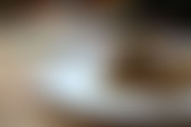 Jakobsmuscheln aus Austernpilzen – Pflanzliche Alternative für Flexitarier