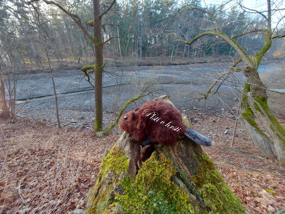 Plstěná realistická miniatura bobra z ovčí vlny