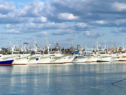 Porto di P.S.Giorgio.jpg