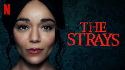 Top 5 Mind-Benders With Black Leads - The Strays is a gripping and thought-provoking film that skillfully explores social acceptance, motherhood, white-passing, and accountability through an exceptional cinematic lens. The narrative unfolds in a predominantly white world, offering a unique perspective on the challenges people of color face. The film's powerful storytelling keeps you engaged, and its unexpected ending will leave you astonished. I highly recommend "The Strays" to anyone who appreciates a well-crafted plot with mind-bending twists. This movie's strength lies in tackling complex societal issues within a thrilling and suspenseful narrative framework. It sheds light on the intricacies of identity and the consequences of unaccountability, making it a must-see for those seeking a thought-provoking and emotionally charged cinematic experience. "The Strays" is a testament to the power of storytelling in addressing relevant social issues while delivering an enthralling plot that keeps you on the edge of your seat from start to finish.