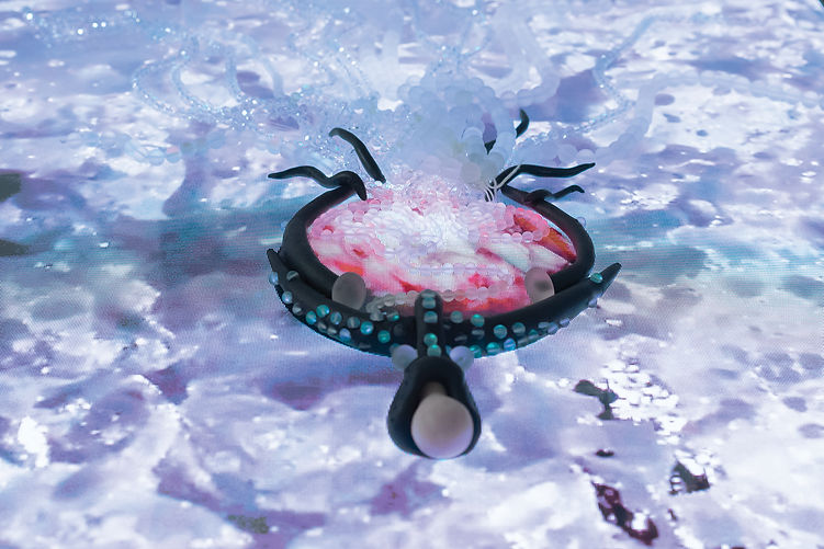 Adamyan_Arpi_PLacenta-Jellyfish.jpg