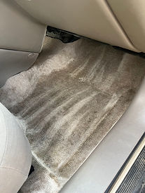 carpet shampooing