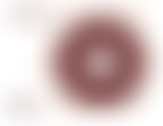 Profundizando en el desarrollo de mercados municipales. Reflexiones desde una trayectoria global