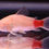 Thumbnail: Coloured Corydoras